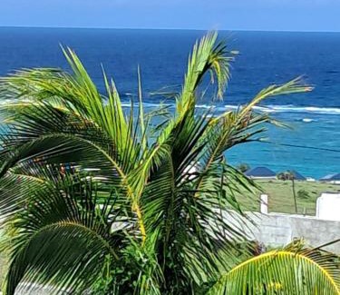 Coromandel House | Papol et tella guesthouse