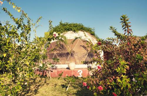 Kidoti Hotel | Paradise city