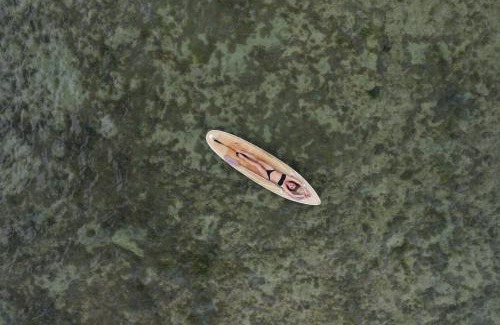 Kidoti Hotel | Paradise city