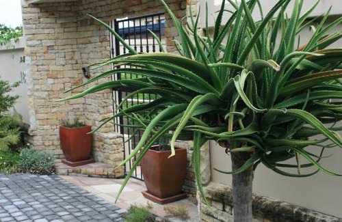 Paradise House | Paradise Home