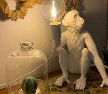 Foce Apartment | Paradiso numero 12