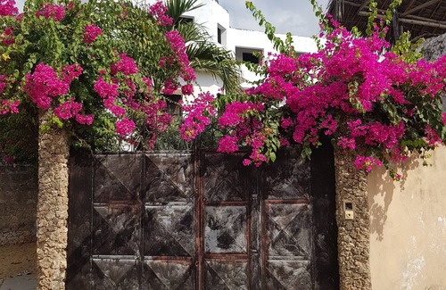 Watamu Apartment | Paradiso Watamu, perfectly located. Walking distance to Watamu Village & Beaches