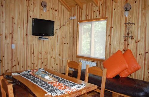 Moquehue Apartment | Parajes del lejano sur cabaña El Cardo