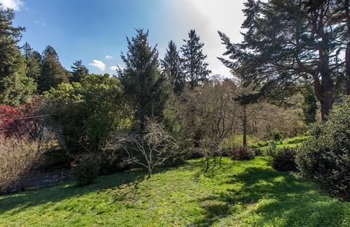 Trinidad House | Parker Creek Cabin - Dog & Beachcomber's Paradise!