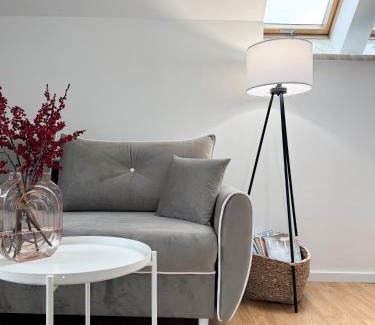 Cieplice Apartment | PARKOVA APARTAMENTY - termy, centrum, park