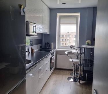 Zarasai Apartment | Pas Romaną