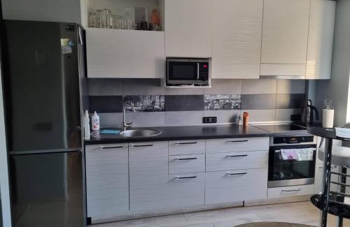 Zarasai Apartment | Pas Romaną