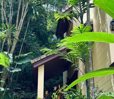 Patong House | Patong Beach森林屋111