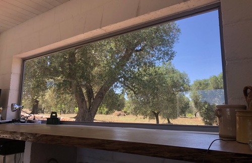 Ostuni House | Peace & Privacy at Trullobrullo