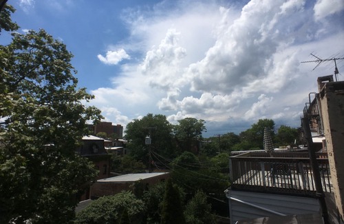 Bolton Hill Apartment | Peaceful Brownstone Apt w/Private Patio - 4 Min Walk to MICA