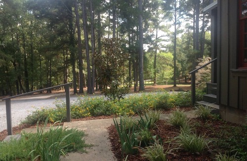 Starkville Cabin | Peaceful Cabin on 8 wooded acres 3 Miles From MSU Campus