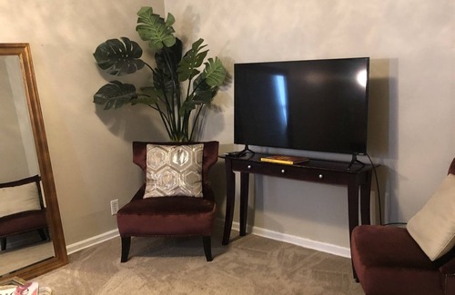St. Louis Apartment | Peaceful feel in the City