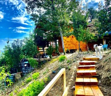 Ulcinj House | Peaceful Oasis