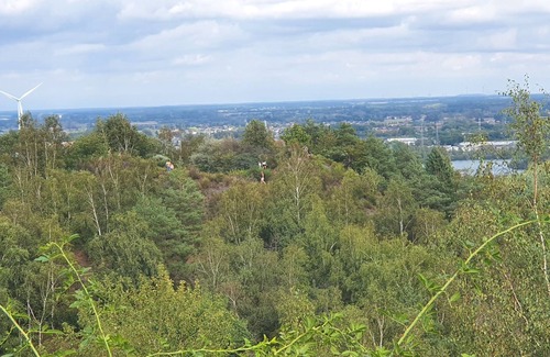 Dilsen-Stokkem Ski Chalet | Peacefully situated chalet surrounded by woods