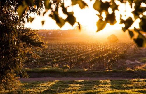 Cape Winelands Villa | Pearl Valley Golf Estate Lodge 1E