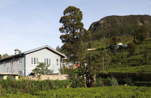 Nuwara Eliya House | Pedro View Homestay