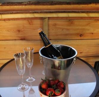 Fishguard Apartment | Pembrokeshire Shepherd hut with hottub