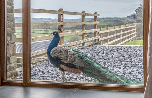 Llandeilo House | Pengelli Dairy. Country view with hottub
