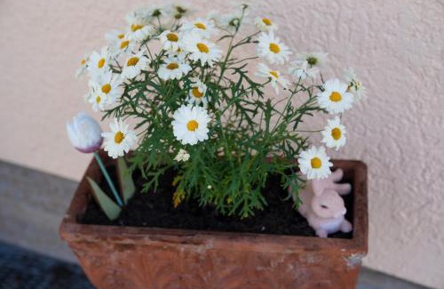 Treuchtlingen Bed & Breakfast | Pension Eger