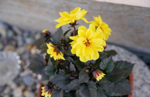 Treuchtlingen Bed & Breakfast | Pension Eger