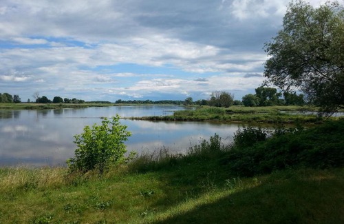 Reitwein House | Pension Gräfliche Villa