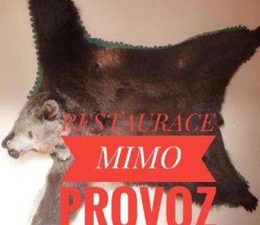 Ludvikov House | Pension Grizzly