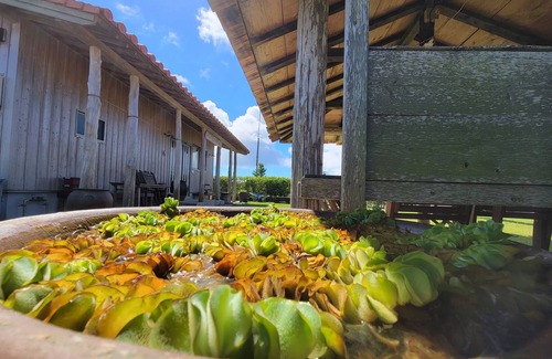 Ginoza House | Pension Snadun