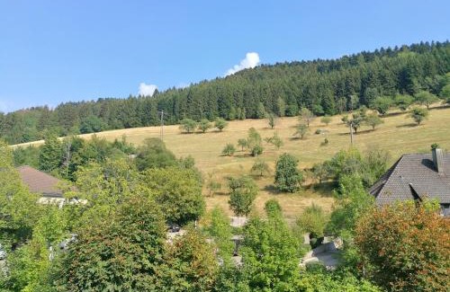 Bad Peterstal-Griesbach House | Pension Zur Rose