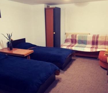 Calea Sever Bocu House | Pensiune Tina, camera cu baie , Iulius Mall