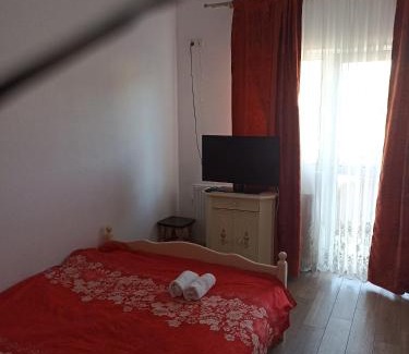 Sighisoara Apartment | Pensiunea Baron Aliando