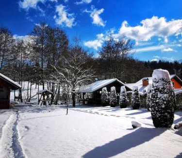 Cristian House | Pensiunea Colt De Rai