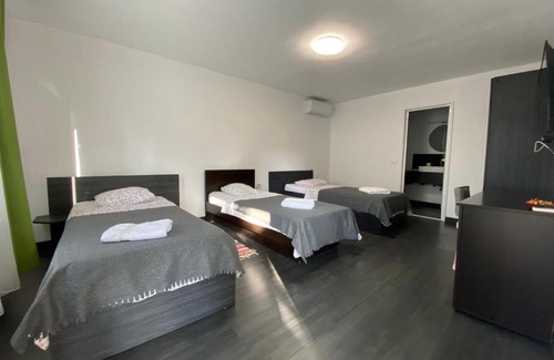 Arad House | Pensiunea Damir Arad