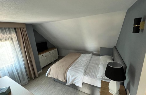 Toplita Villa | PENSIUNEA IZABELLA, Vila Cocket