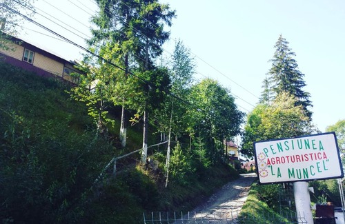 Sadova House | Pensiunea La Muncel