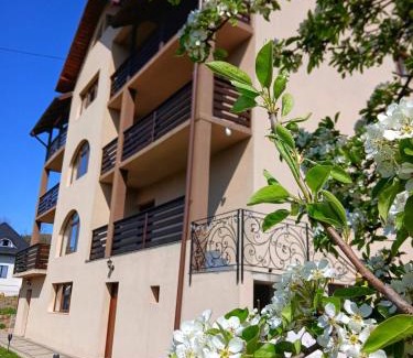 Manastirea Humorului House | Pensiunea La Bucovina