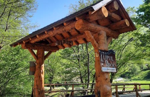Orastioara de Sus House | Pensiunea Lupul Dacic