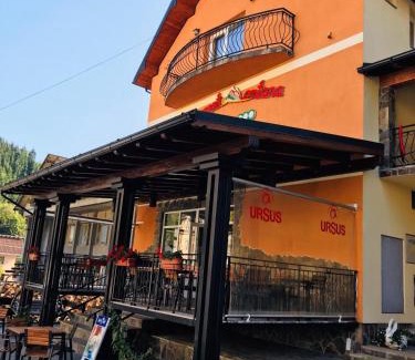 Borsa House | Pensiunea Montana Borșa MM