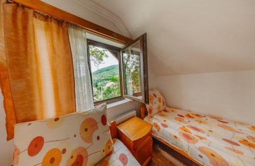 Praid Bed & Breakfast | Pensiunea Patakparti 2
