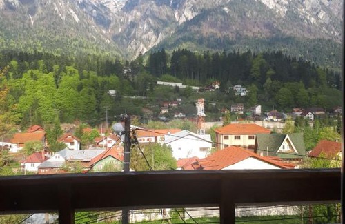 Busteni Cabin | Pensiunea Premium Travel