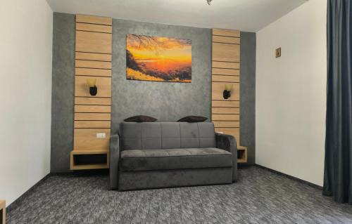 Ceahlau House | Pensiunea Turistică La Tei