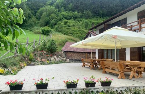 Rau Sadului House | Pensiunea Valea Pinului