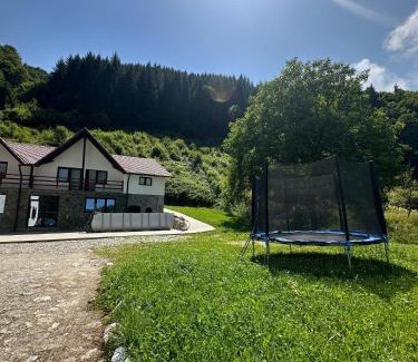 Rau Sadului House | Pensiunea Valea Pinului