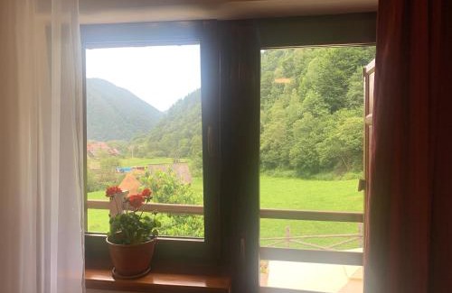 Rau Sadului House | Pensiunea Valea Pinului