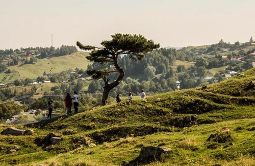 Vintileasca House | Pensiunea Viorita