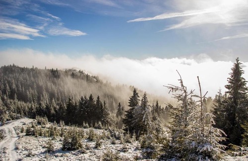 Vintileasca House | Pensiunea Viorita