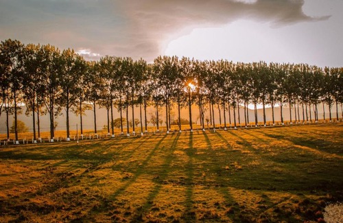 Vintileasca House | Pensiunea Viorita