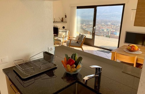 Ascona Apartment | Penthouse flat with fantastic lake view