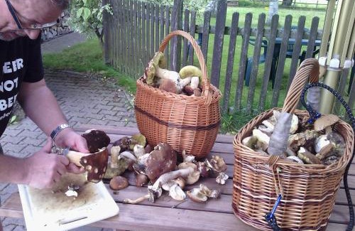 Horni Vltavice House | Penzion Bázum