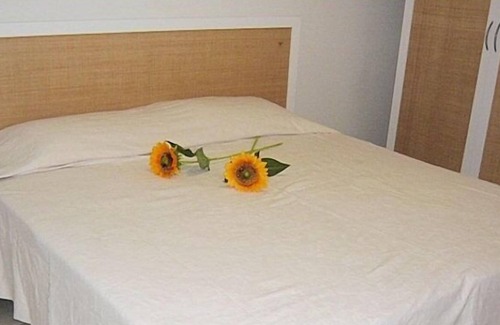 Ponta Negra Apartment | Perfect apartment for your holiday, Natal