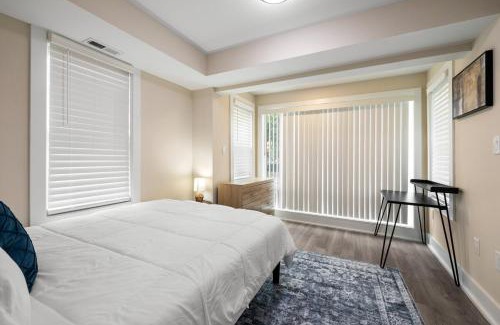 Columbia Heights Apartment | Perfect Location 1BR Apartment